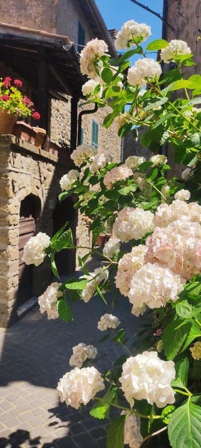La Chascona Di Farnese Casa Di Tufo Nel Borgo Lägenhet Exteriör bild
