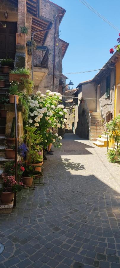 La Chascona Di Farnese Casa Di Tufo Nel Borgo Lägenhet Exteriör bild